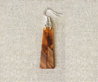 Wood & Resin Rectangle Earrings - Long